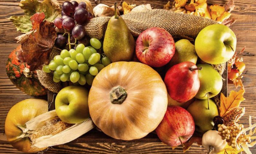DELIZIE D'AUTUNNO / AUTUMN FLAVOURS 2024