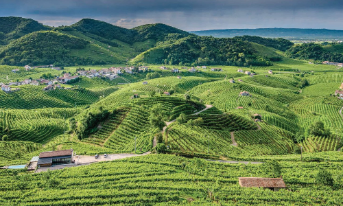 PROSECCORUN: 10 e 21 km SUI COLLI DEL PROSECCO