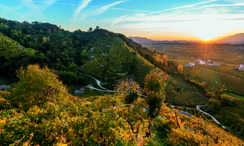 PRIMAVERA DEL PROSECCO / PROSECCO SPRINGTIME