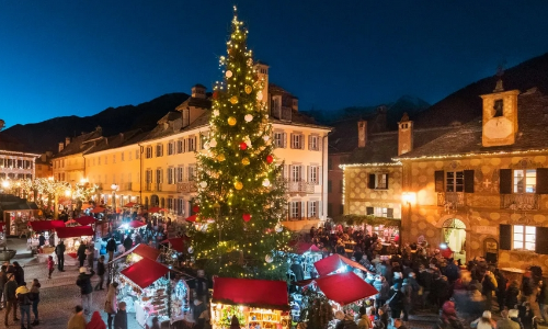 FIORI D'INVERNO E MERCATINI DI NATALE