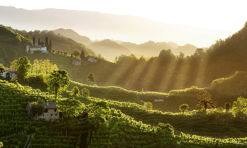 PRIMAVERA DEL PROSECCO  / PROSECCO WINE FESTIVAL