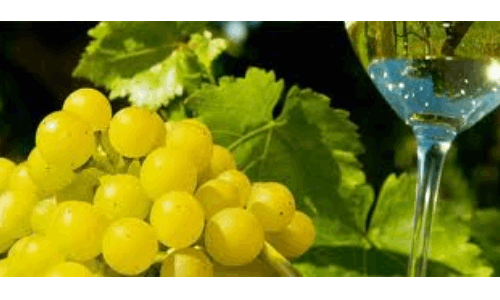 Primavera del Prosecco 2012 dal 25 febbraio 2012 al 24 giugno 2012  