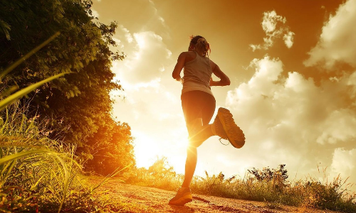 PROSECCO RUN: mezza maratona fra vigne e cantine