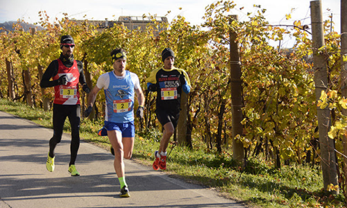 PROSECCORUN: 10 e 21 km SUI COLLI DEL PROSECCO