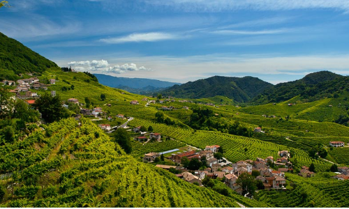 Primavera del Prosecco / Prosecco Spring