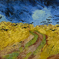 Mostra Van Gogh / Van Gogh Exhibition: Tra il grano e il cielo