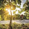 GIRO D'ITALIA: CRONOMETRO SUI COLLI DEL PROSECCO