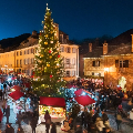 FIORI D'INVERNO E MERCATINI DI NATALE