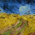 Mostra Van Gogh / Van Gogh Exhibition: tra il grano e il cielo