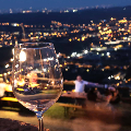 CALICI DI STELLE / WINE UNDER THE STARS